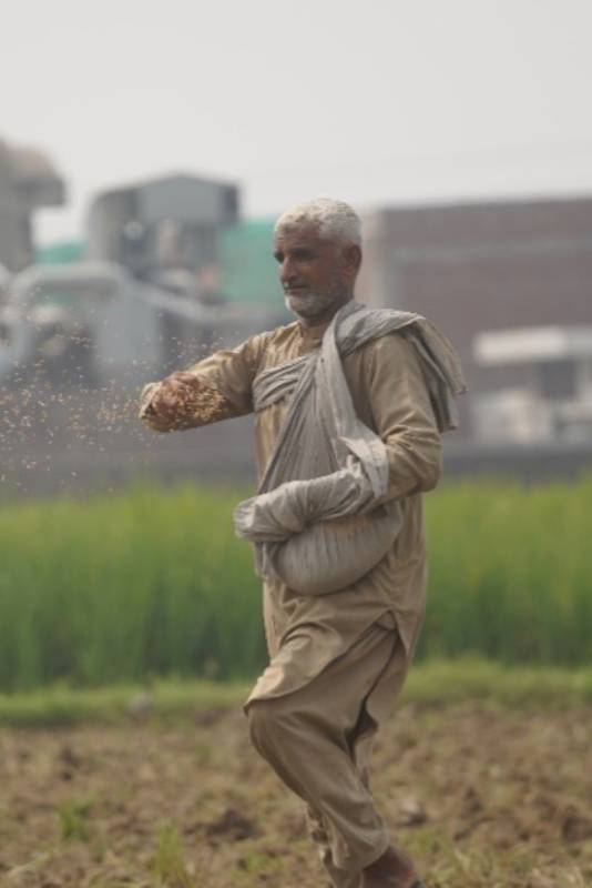 Vertical Placeholder Image